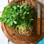 FENUGREEK LEAVES METHI (FROZEN)