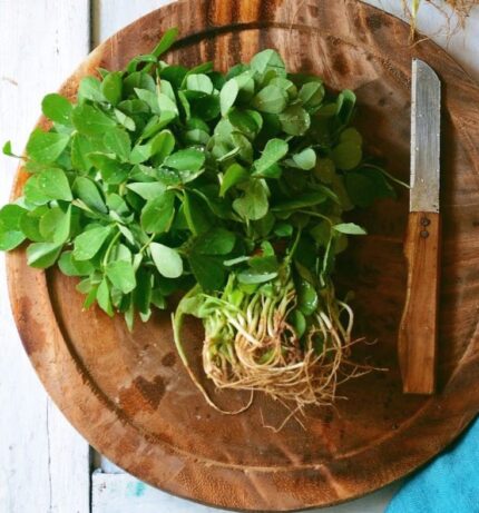 FENUGREEK LEAVES METHI (FROZEN)