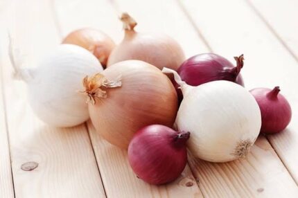 ONIONS