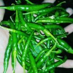GREEN CHILLI