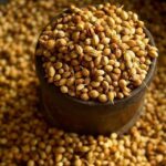 CORIANDER SEED