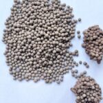 CAT LITTER