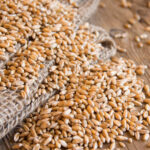 MILLING WHEAT